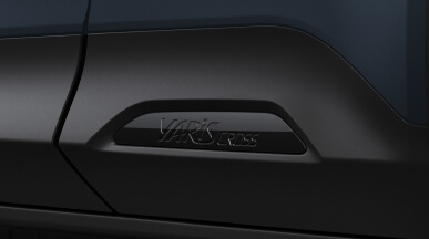 Bottom Molding